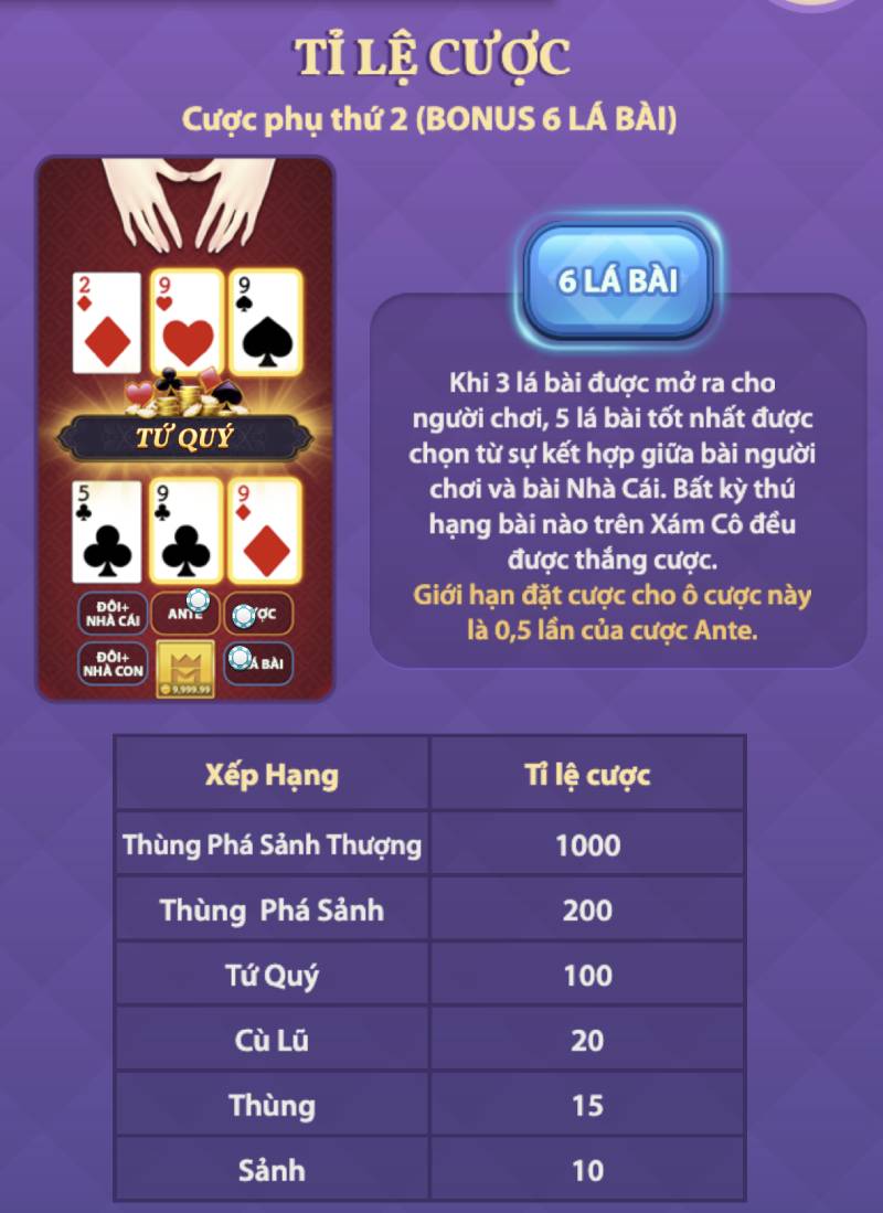 Ty Le Cuoc Va Phan Thuong teen patti